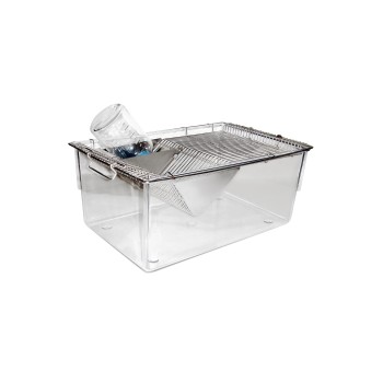 Rat cage 1