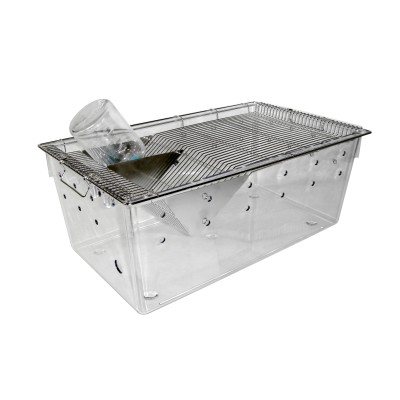 Rat cage 2